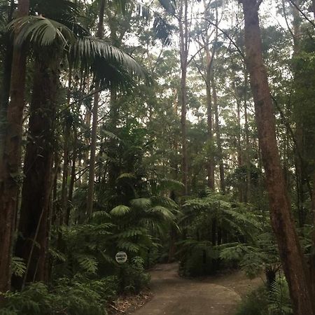 Springbrook Mountain Chalets Esterno foto