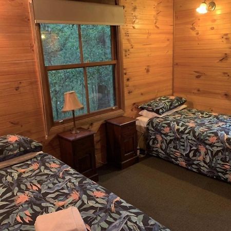 Springbrook Mountain Chalets Esterno foto