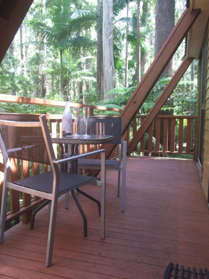 Springbrook Mountain Chalets Esterno foto