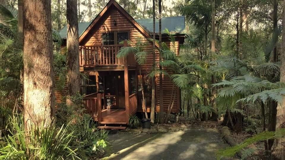 Springbrook Mountain Chalets Esterno foto