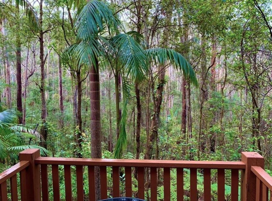Springbrook Mountain Chalets Esterno foto