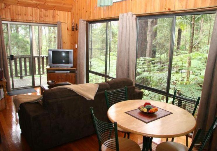 Springbrook Mountain Chalets Camera foto