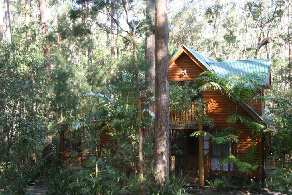 Springbrook Mountain Chalets Camera foto