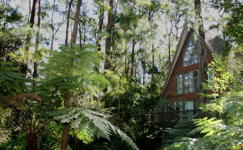 Springbrook Mountain Chalets Esterno foto