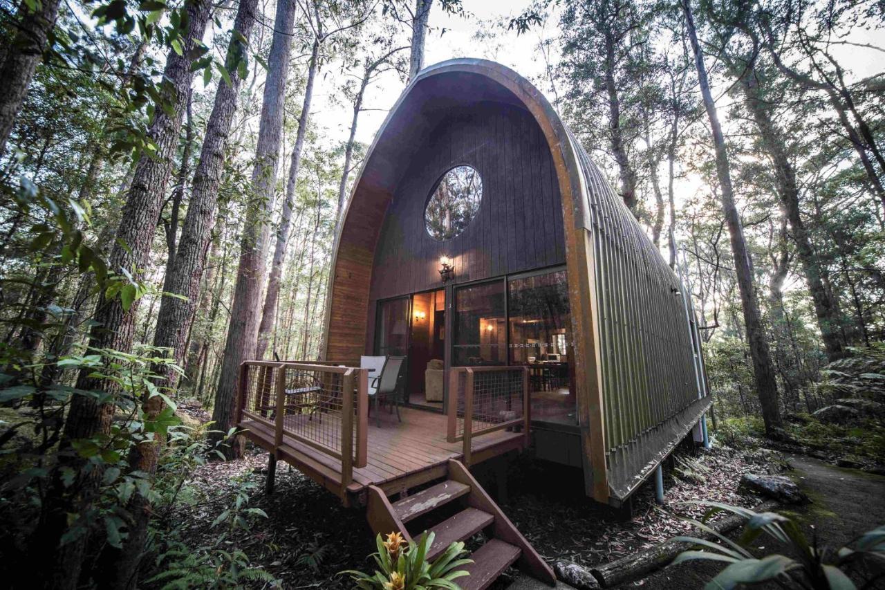Springbrook Mountain Chalets Esterno foto