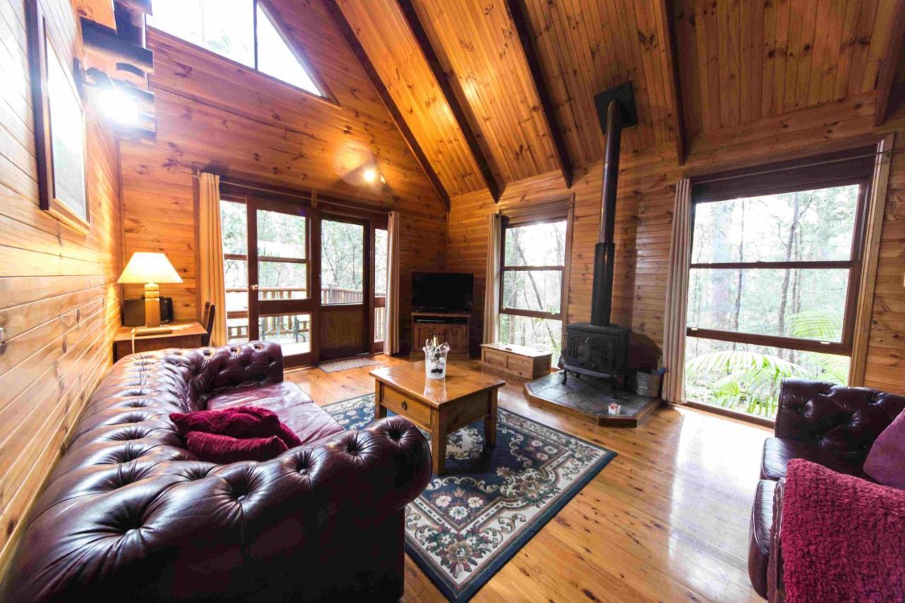 Springbrook Mountain Chalets Esterno foto